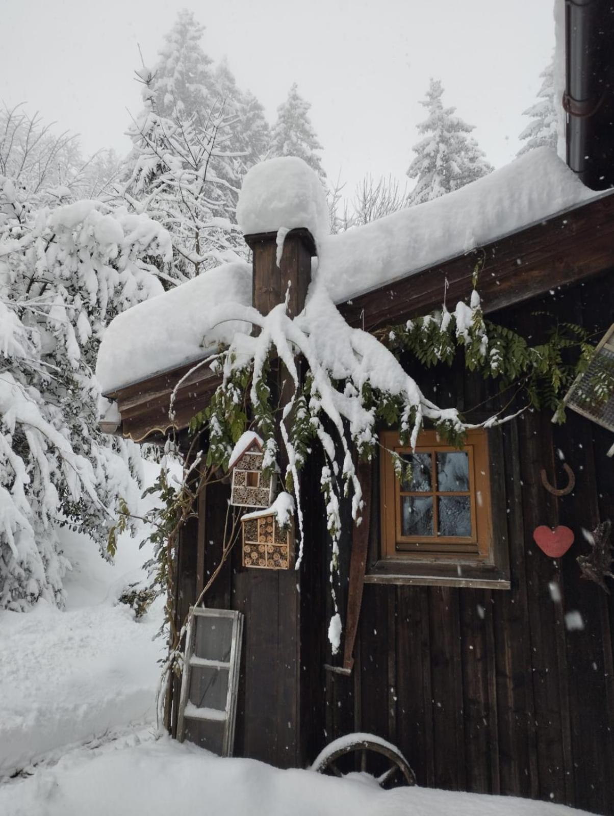 Binderhaeusl Villa Thiersee Eksteriør billede